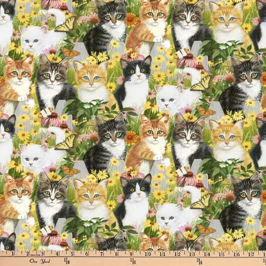 Animal Love Kittens and Daisies Cotton fabric -100% Cotton - Sold by the 1/2 yard increment